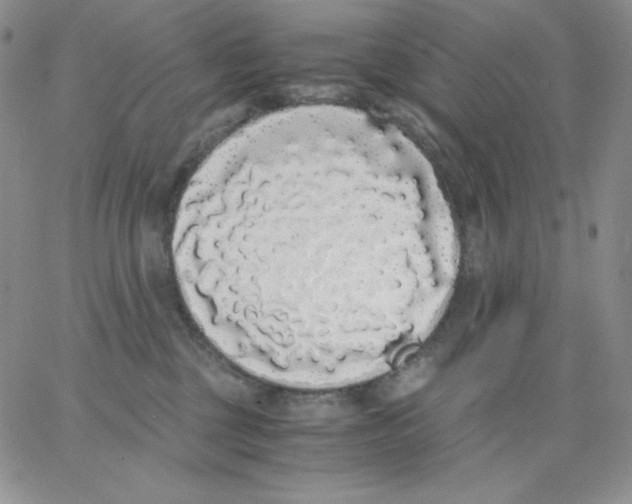 X0000062900377200602031838