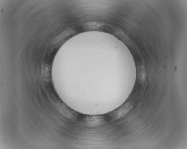 X0000062900378200602031838