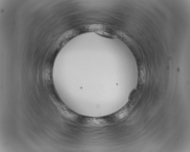 X0000062900379200602031838