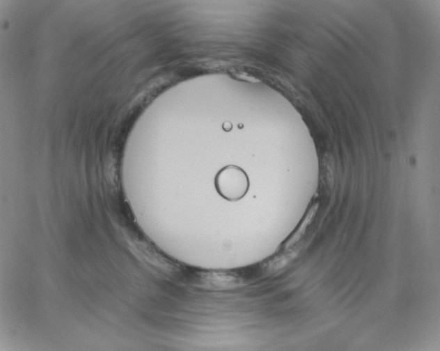 X0000062900380200602031838