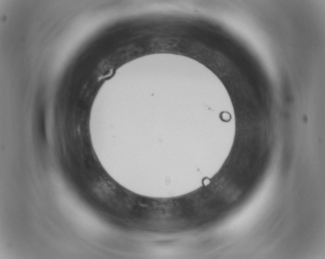 X0000062900382200602031838