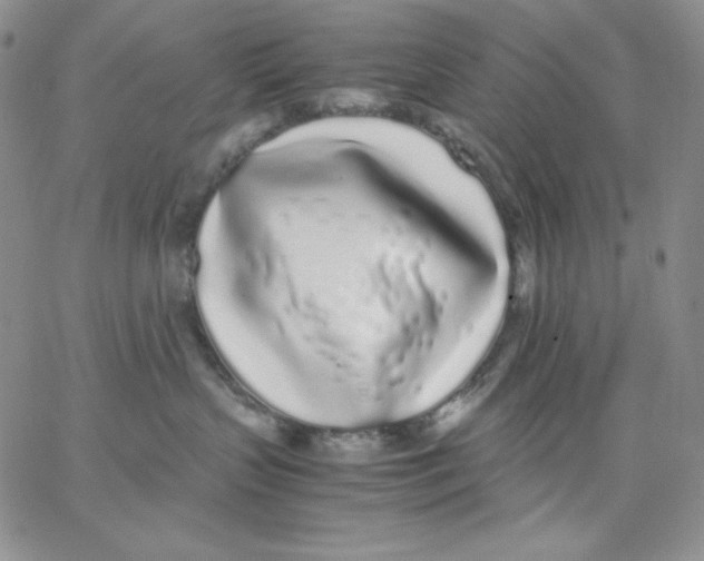 X0000062900383200602031838