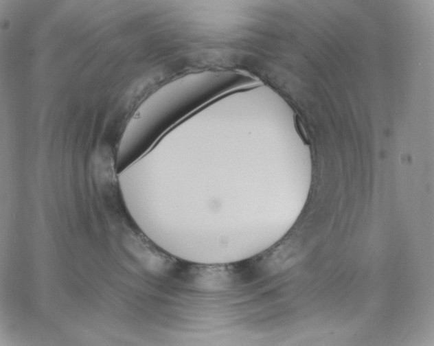 X0000062900384200602031838