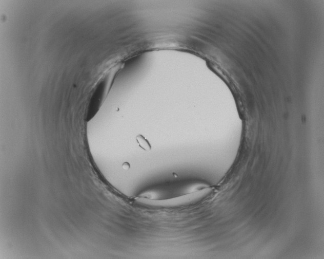 X0000062900385200602031837