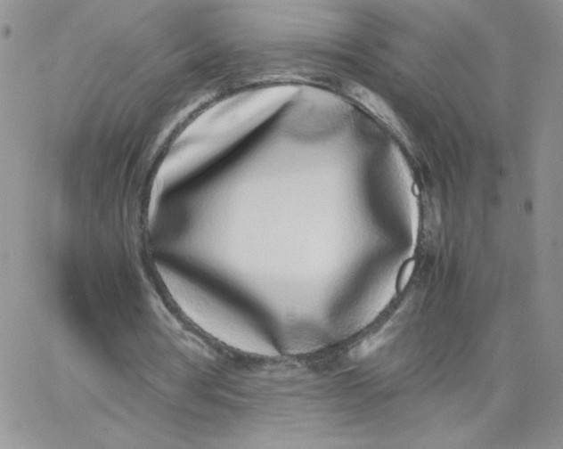 X0000062900386200602031837