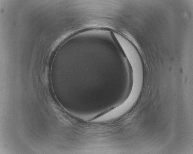 X0000062900387200602031837