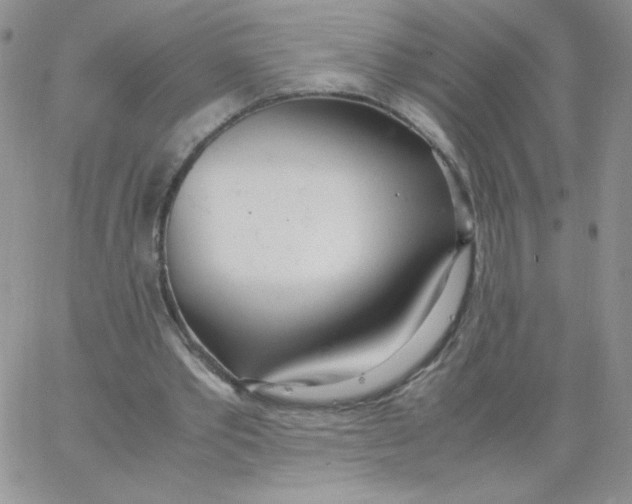 X0000062900389200602031837