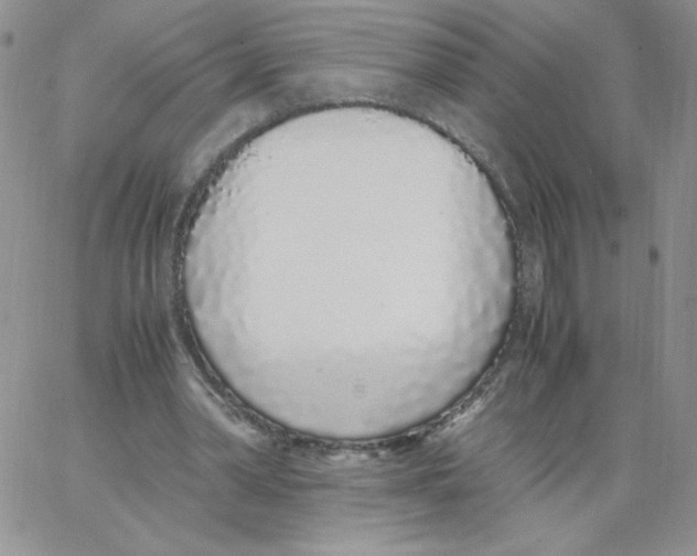 X0000062900390200602031837