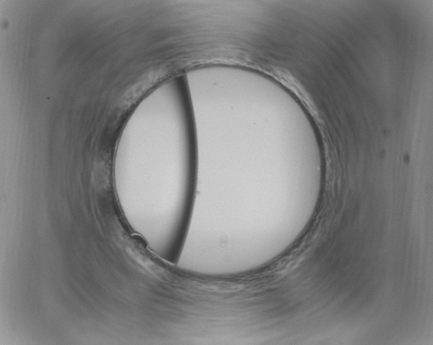 X0000062900393200602031837