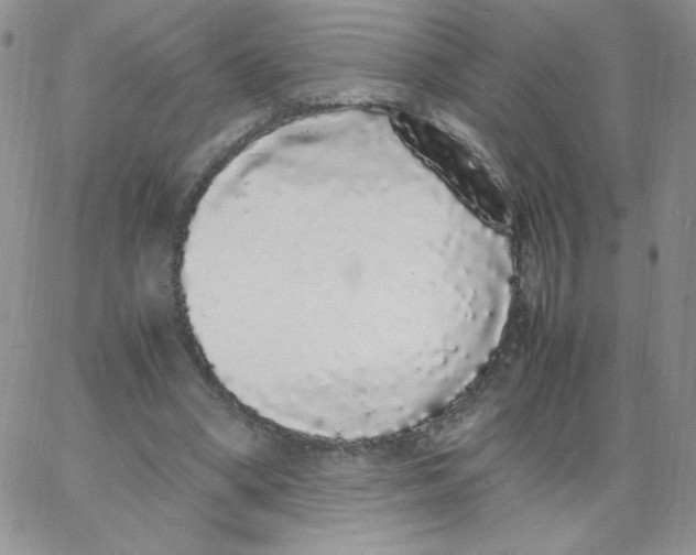 X0000062900394200602031837