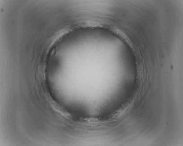 X0000062900395200602031837