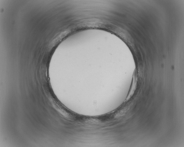 X0000062900397200602031837