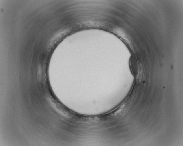 X0000062900398200602031837