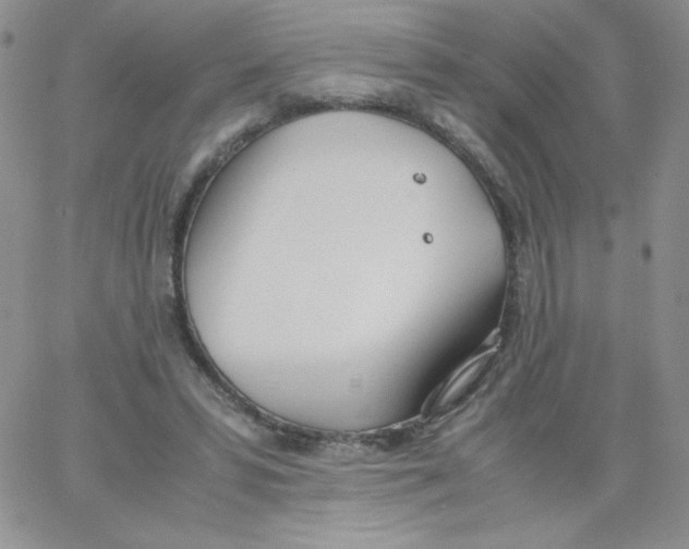 X0000062900399200602031837