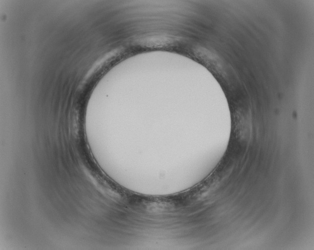 X0000062900400200602031837