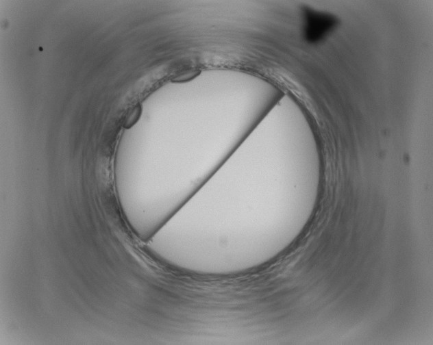 X0000062900401200602031837