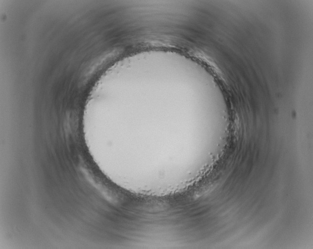 X0000062900402200602031837