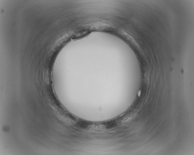 X0000062900403200602031837