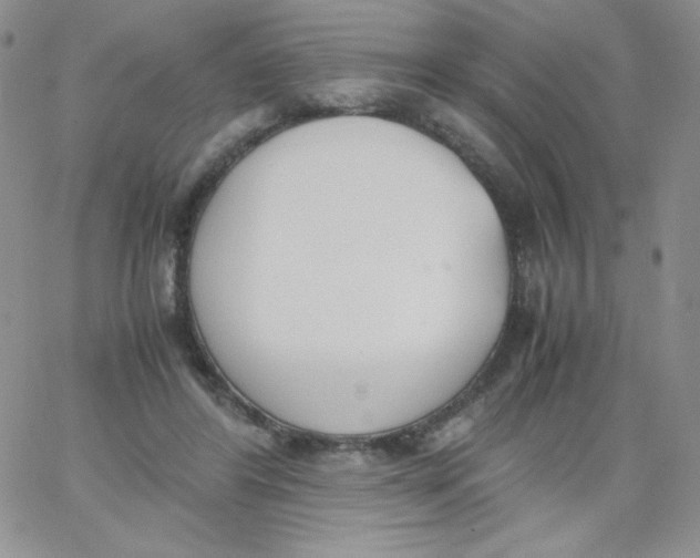 X0000062900404200602031837