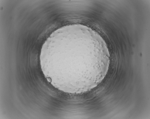 X0000062900406200602031837