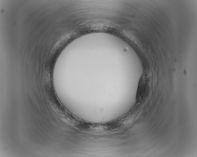 X0000062900407200602031837