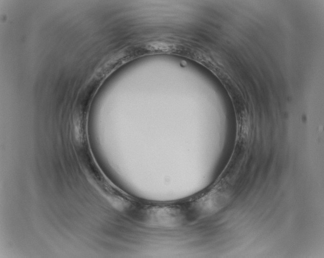 X0000062900408200602031837