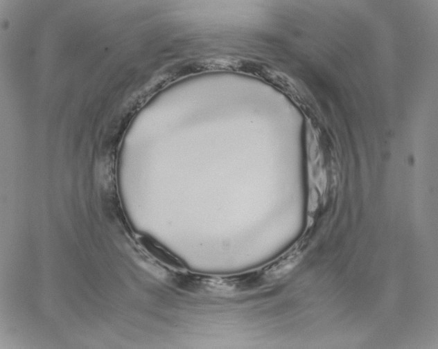 X0000062900409200602031837