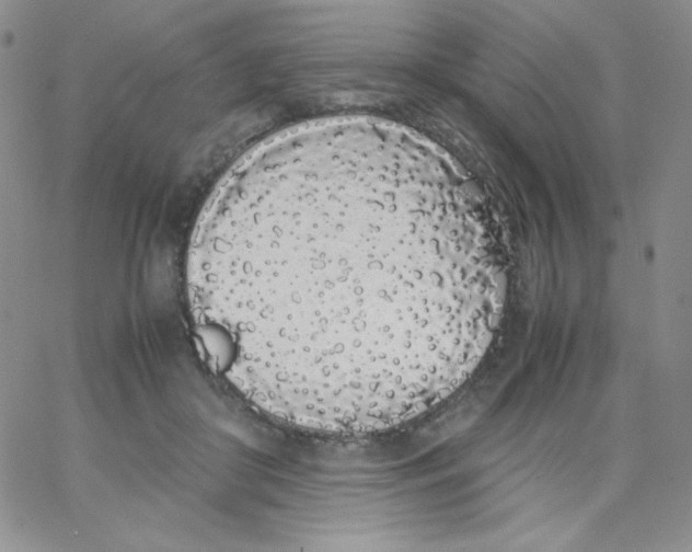 X0000062900410200602031837