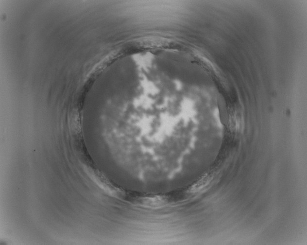 X0000062900411200602031837