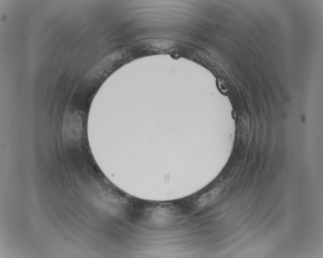 X0000062900412200602031837