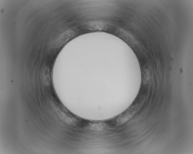 X0000062900414200602031837