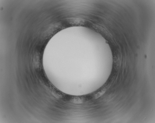 X0000062900416200602031837