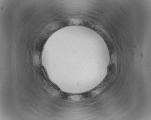 X0000062900417200602031837