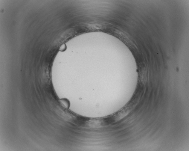 X0000062900418200602031837