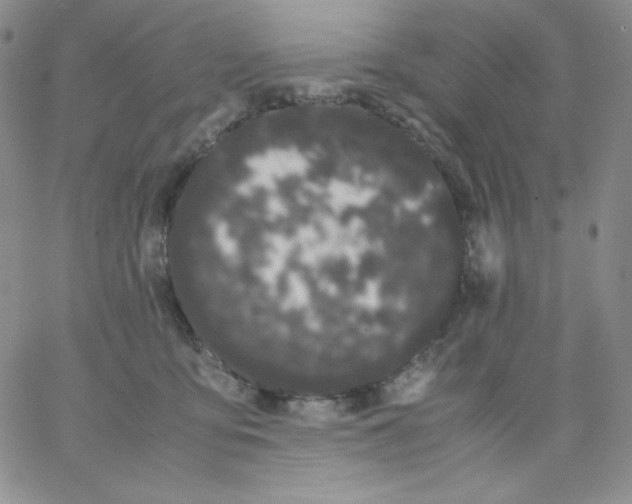 X0000062900419200602031837