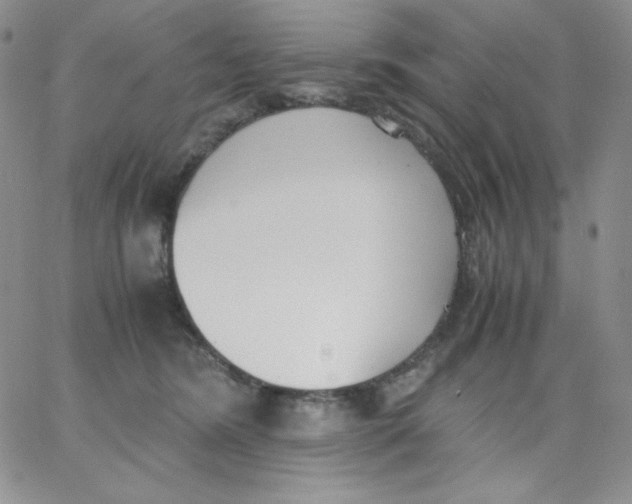 X0000062900420200602031837