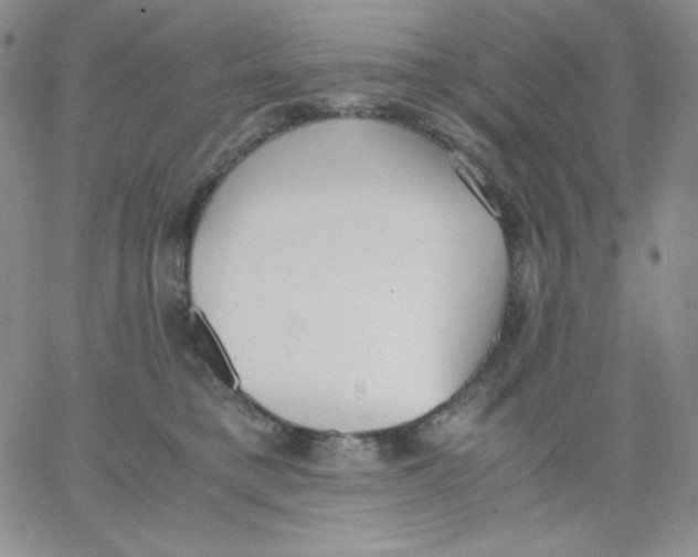 X0000062900421200602031837