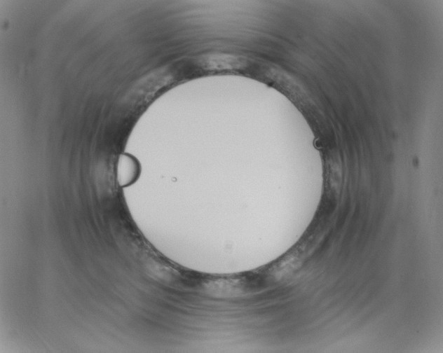 X0000062900422200602031837