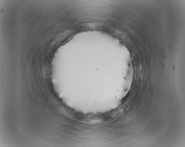 X0000062900423200602031837