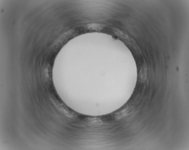 X0000062900424200602031837