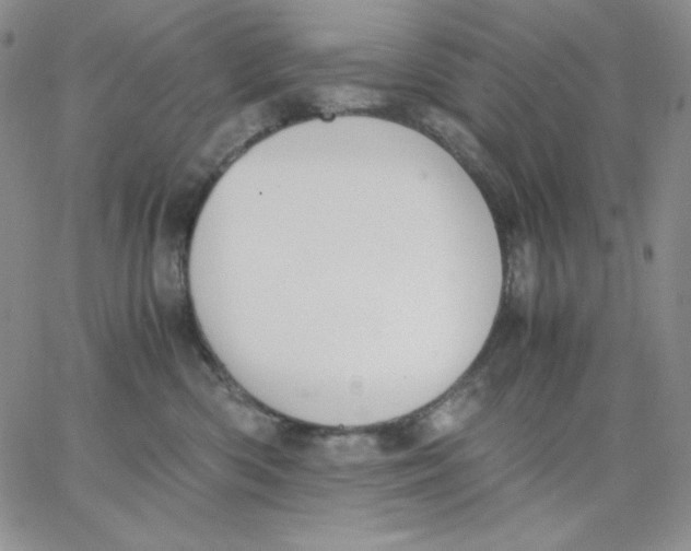 X0000062900426200602031837