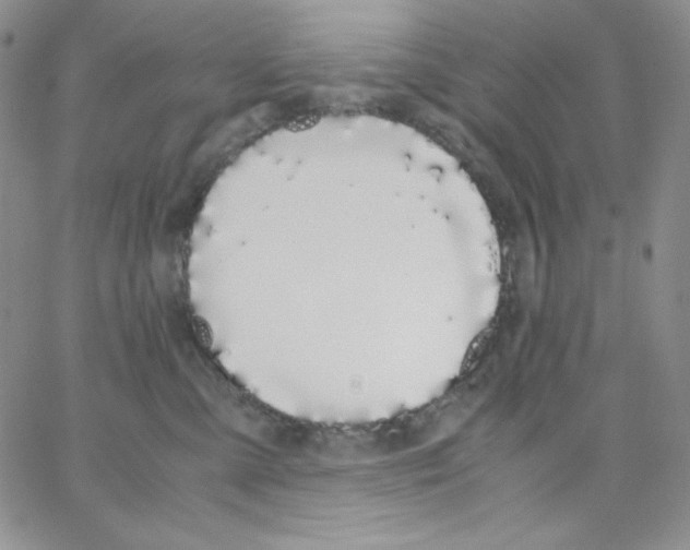 X0000062900427200602031837