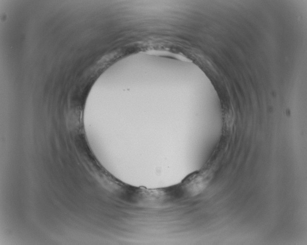 X0000062900429200602031837