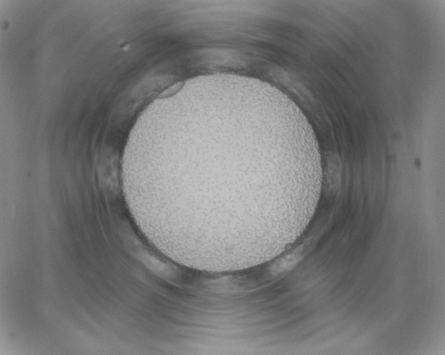 X0000062900430200602031837