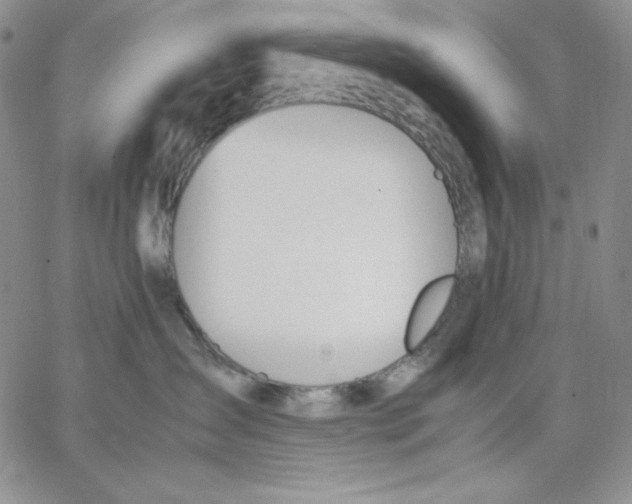 X0000062900431200602031837