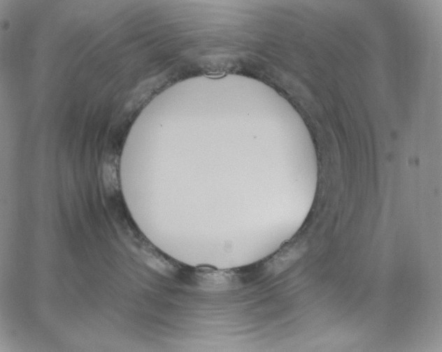 X0000062900432200602031837