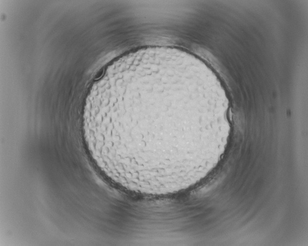 X0000062900433200602031836