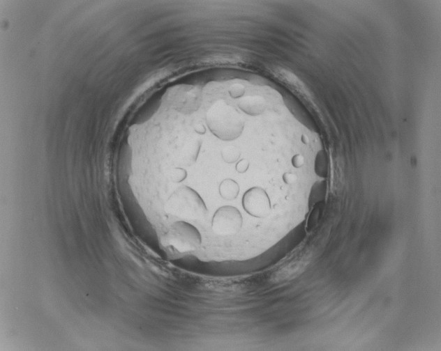 X0000062900435200602031836