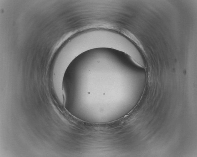 X0000062900436200602031836