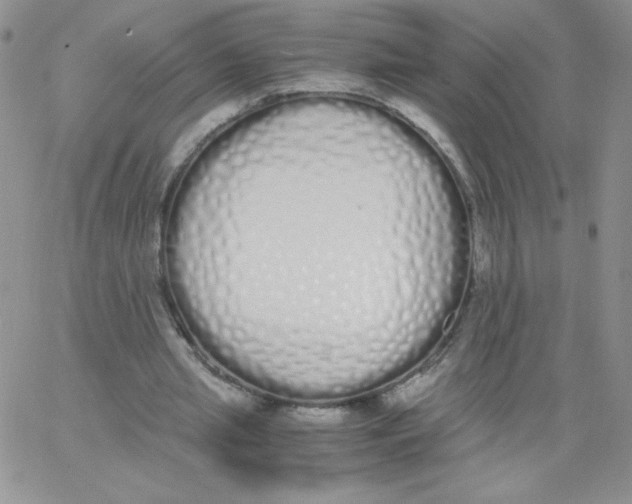 X0000062900437200602031836